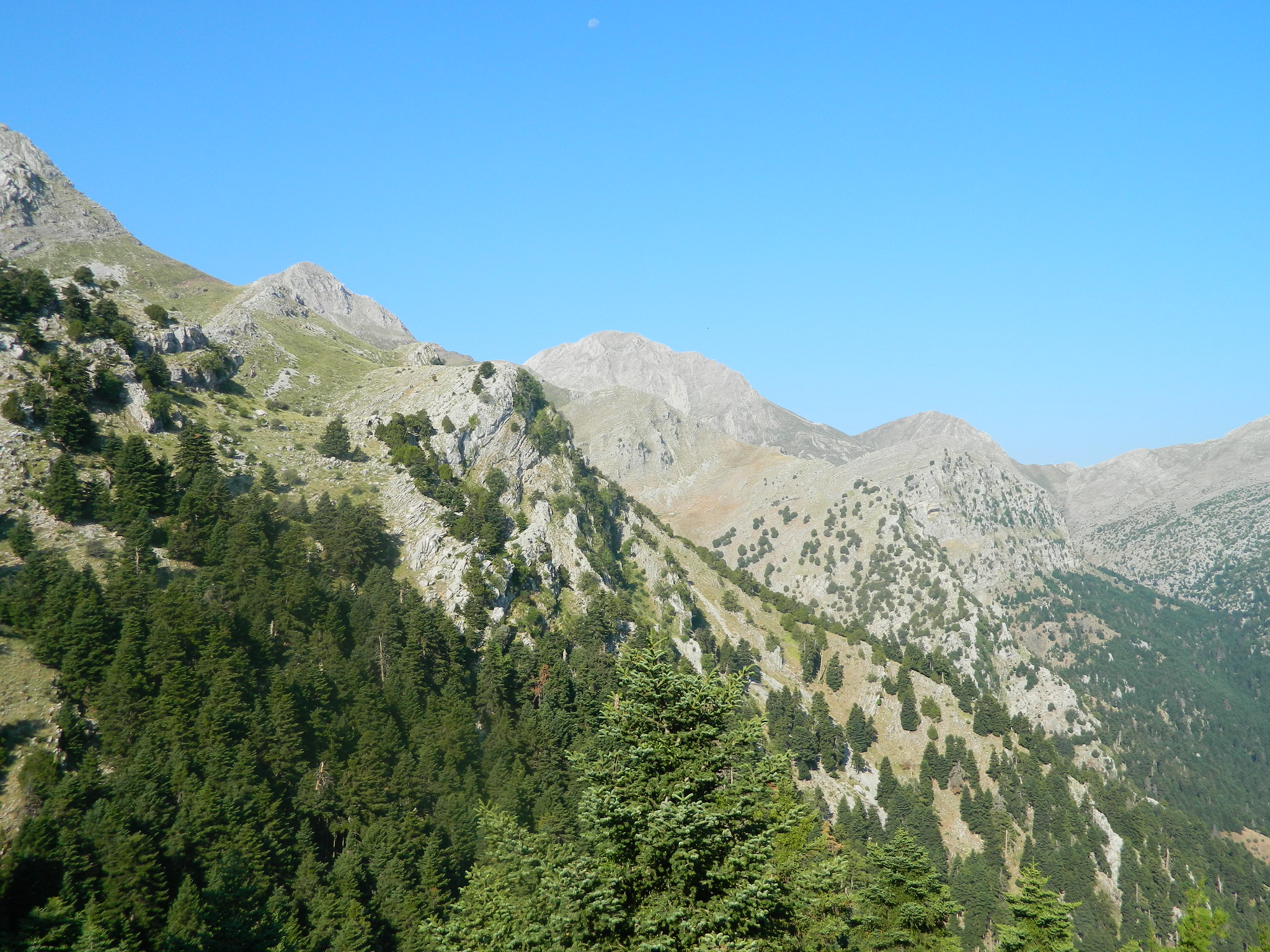 Ε.Ο.Σ. Καλαμάτας: Ανάβαση στον Ερύμανθο (κορυφή Ωλενός 2.224μ.)
