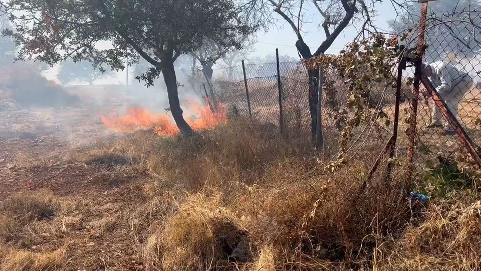 Καίγεται η Αττική: Πυρκαγιές  σε Μέγαρα, Βαρνάβα, Φιλιάτες (+videos)