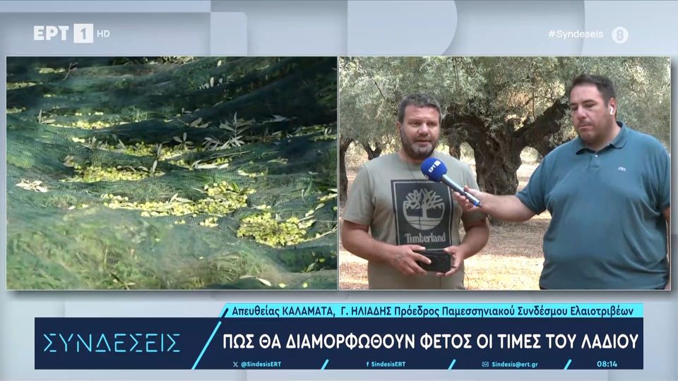 Καλαμάτα: Πώς θα διαμορφωθούν οι τιμές του λαδιού φέτος  (video)