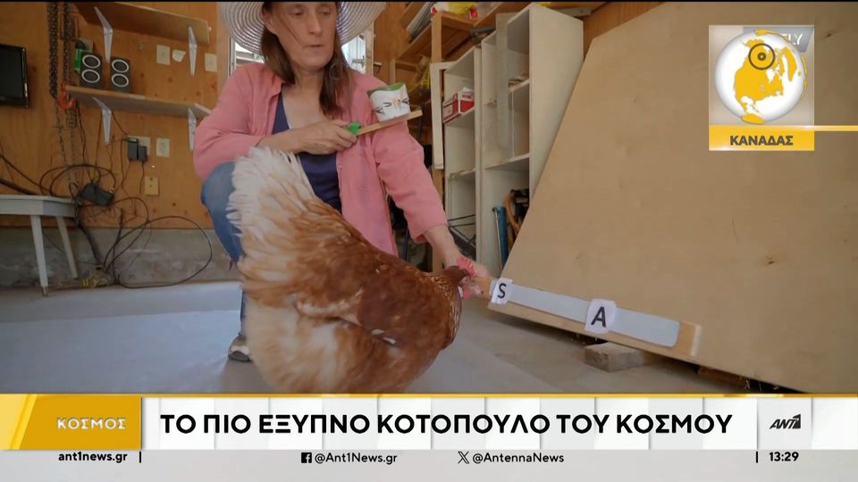 Περίεργες ειδήσεις από όλο τον κόσμο (video)