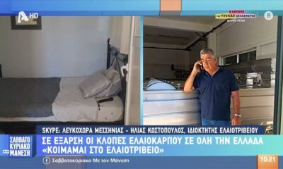 Μεσσηνία: Κοιμάται στο ελαιοτριβείο με τον φόβο κλοπών (video)