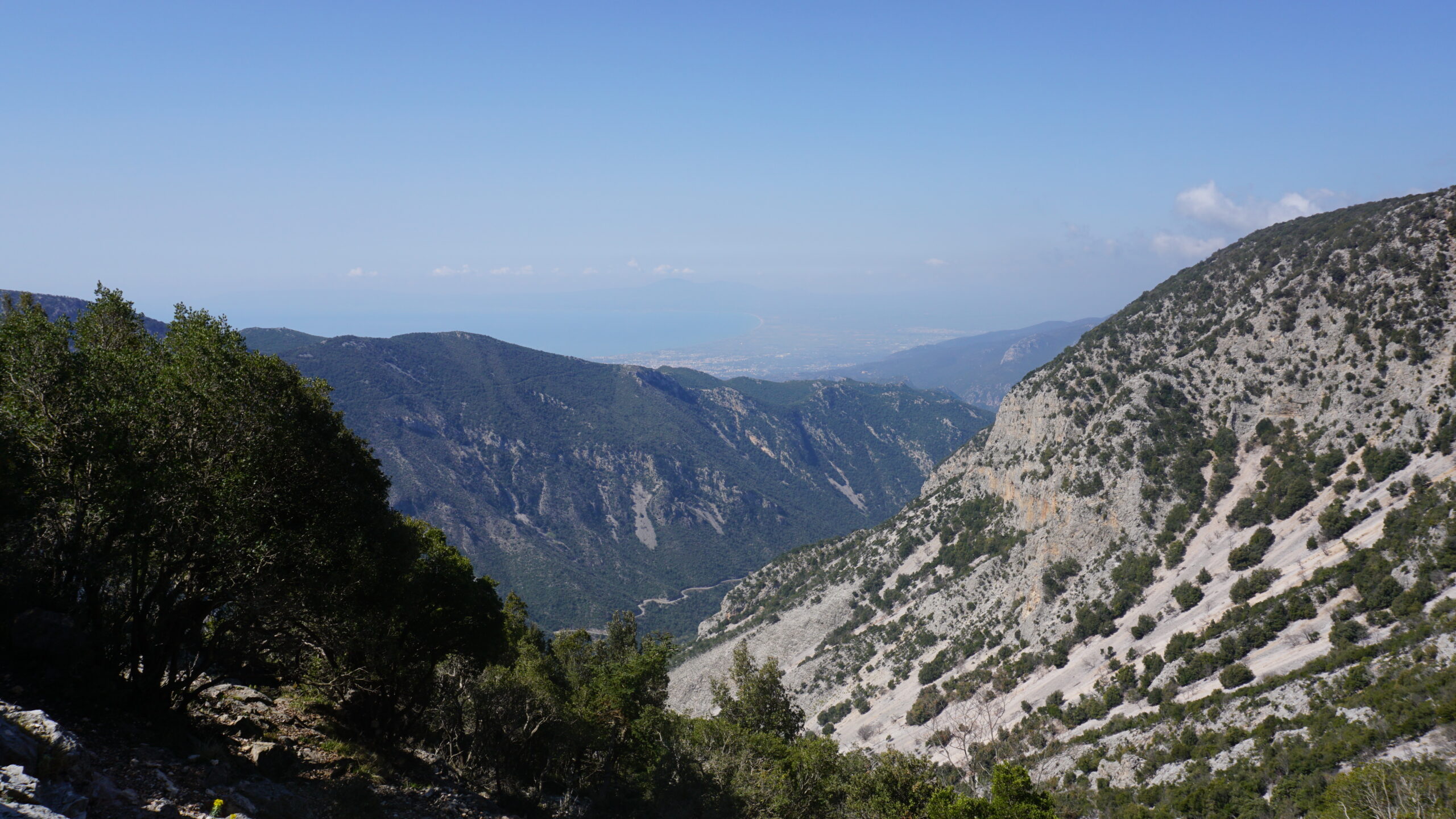 Πεζοπορία στο Λυκούρειο Όρος (12.01.2025)